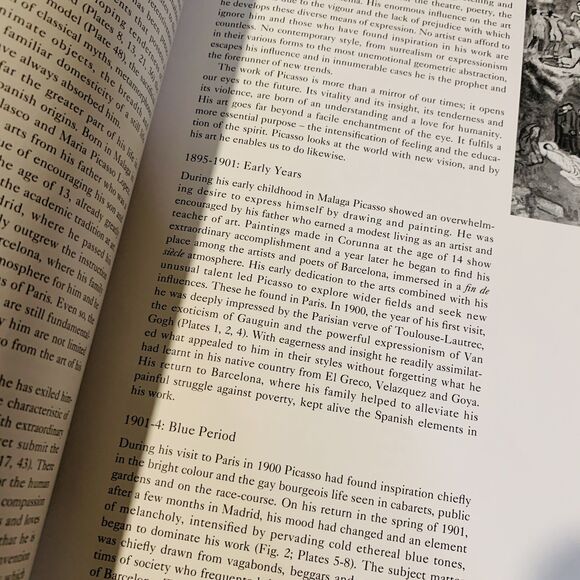 PICASSO Colour Library by Roland Penrose Phaidon Press Coffee Table Art Book - Picture 3 of 6